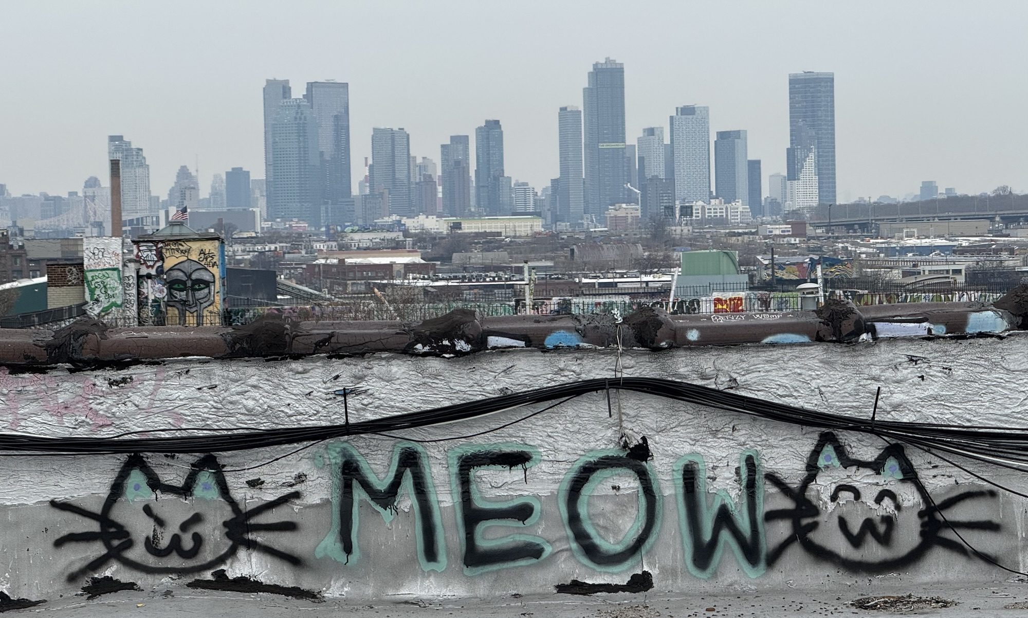 Keeping the cat entertained