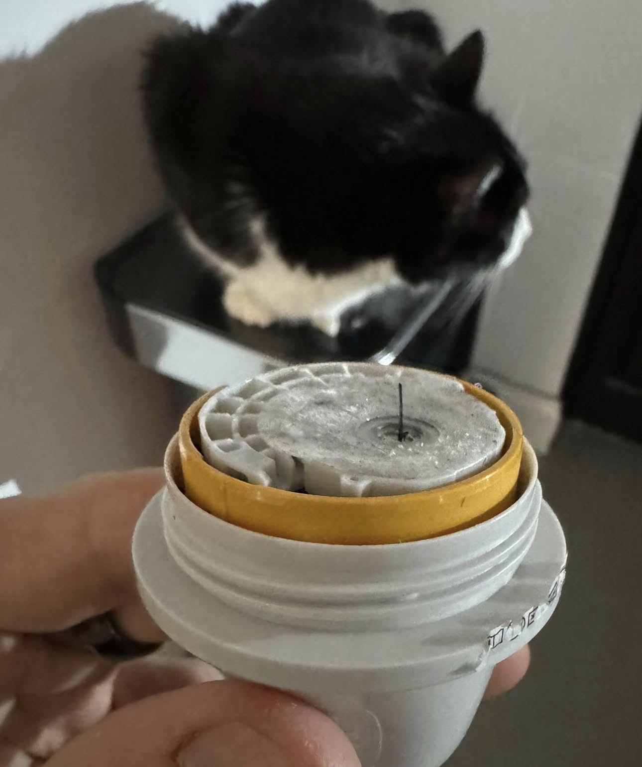 Digitizing the Kit (cat)