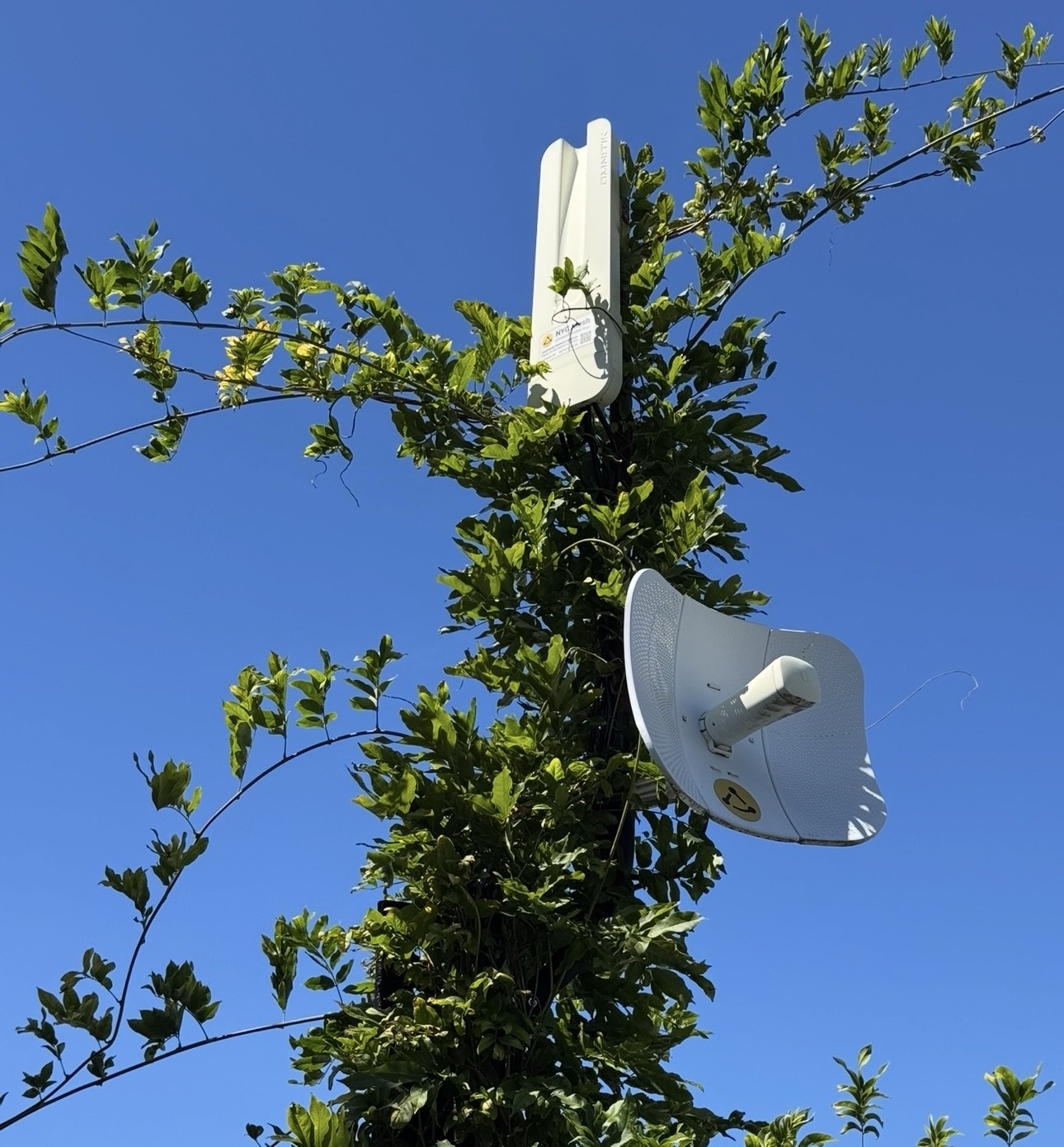 Keeping Bushwick connected