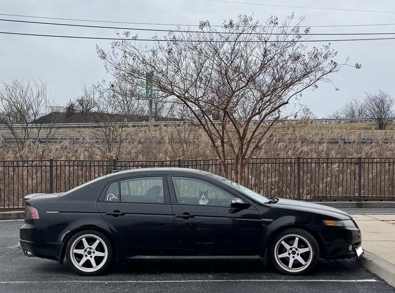 Automating my poor car